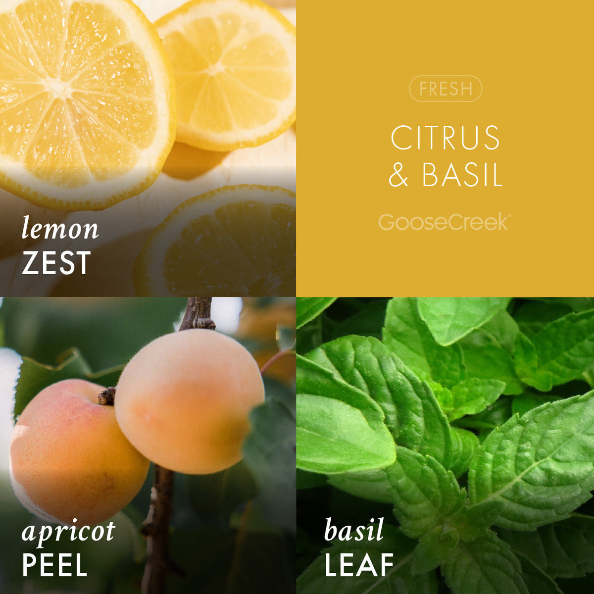 Citrus Basil Aromatherapy Candle - Energizing and Eco-Friendly