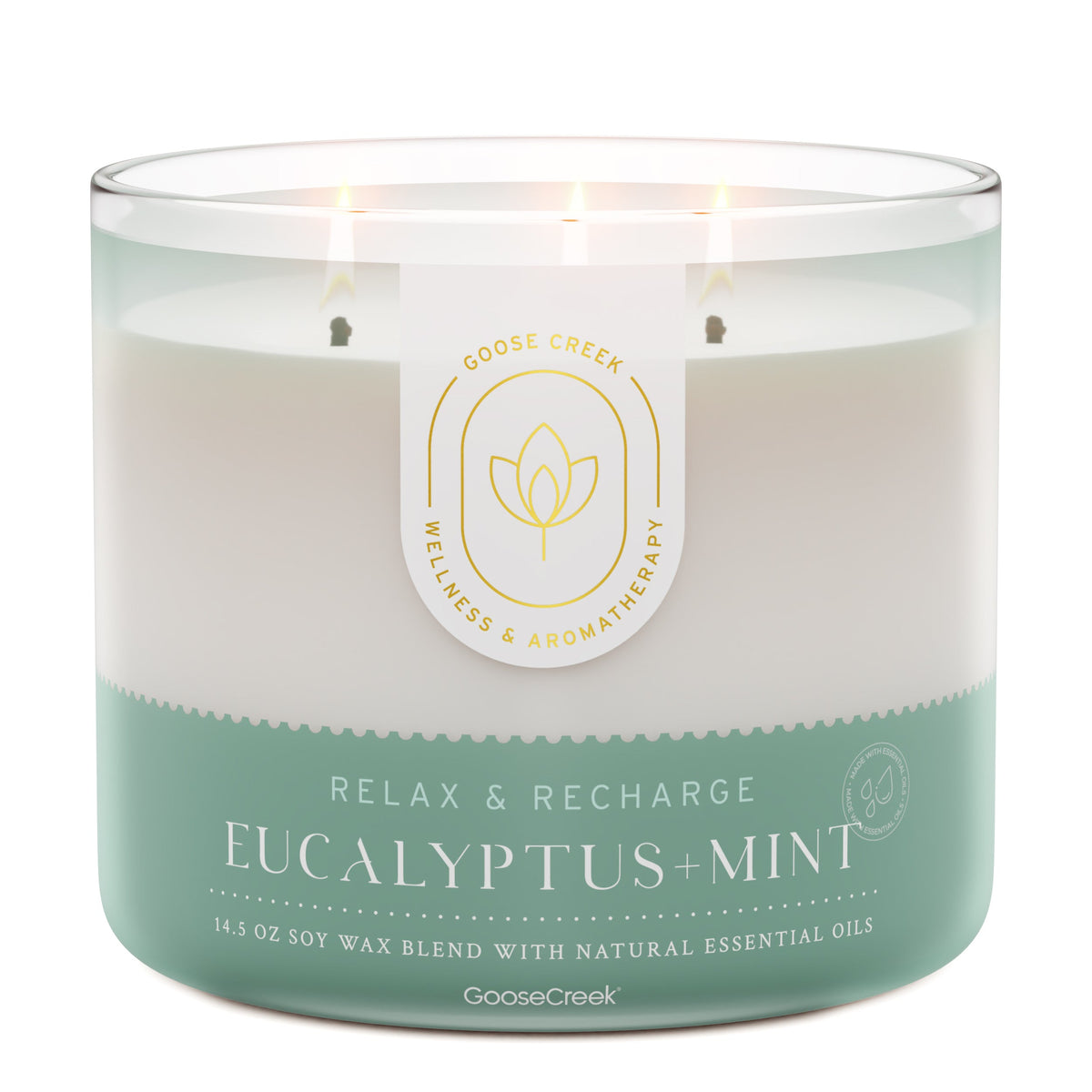 Relax and Refresh with Eucalyptus Mint Aromatherapy Candle – Goose