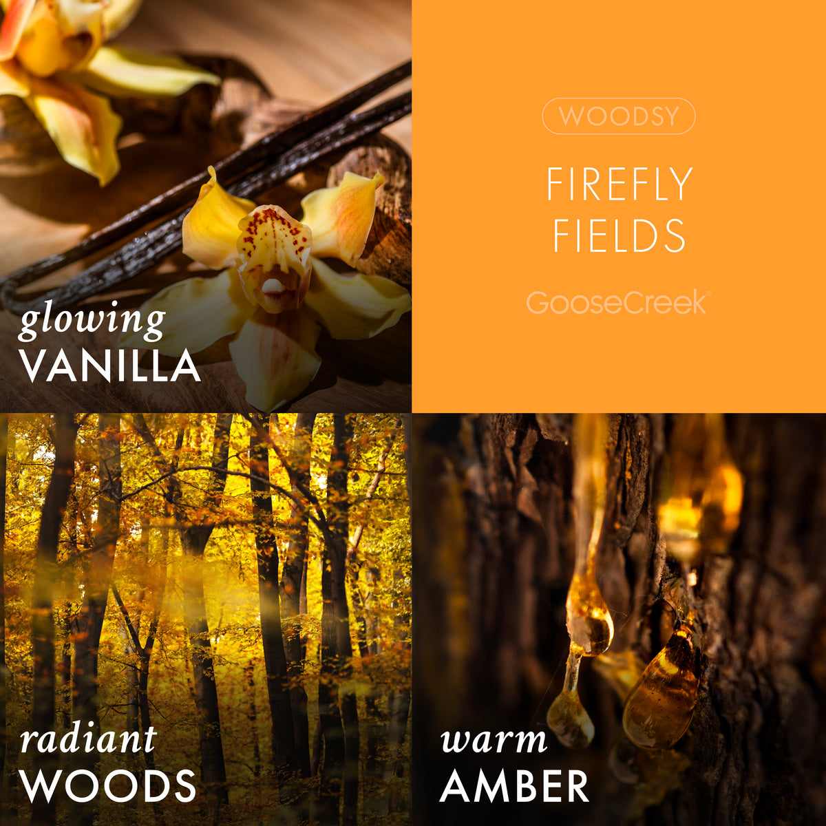 Firefly Fields 3-Wick Candle – Goose Creek Candle