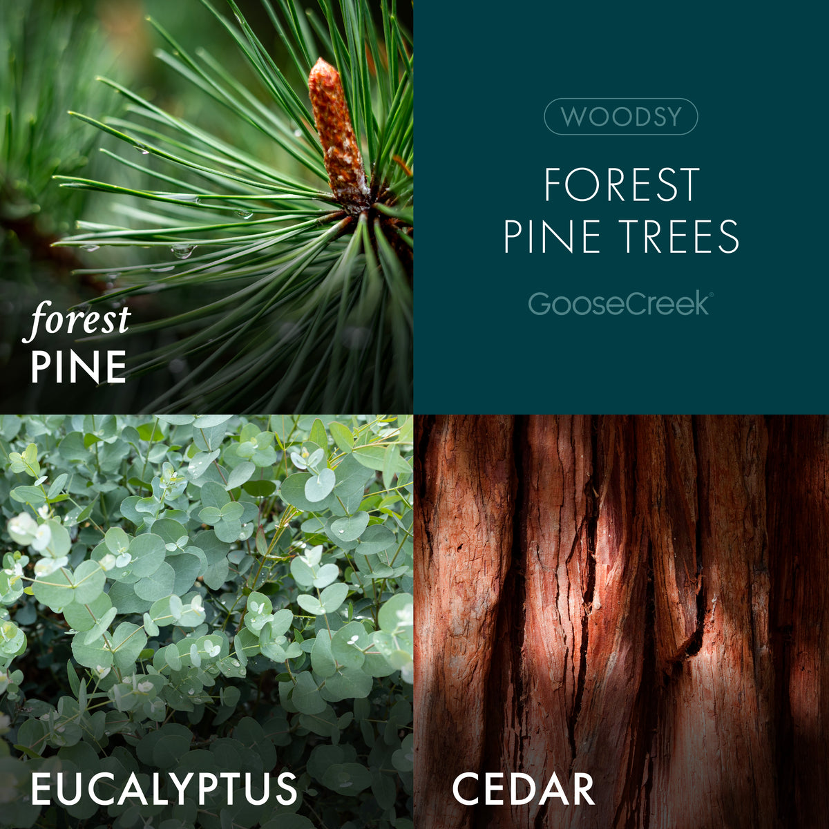 Forest Pine Trees Large 3-Wick Candle - Set the Mood with the