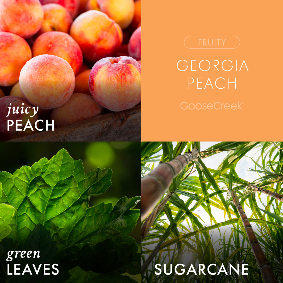 Delicious Georgia Peach 3-Wick Candle - Sweet and Juicy Fragrance