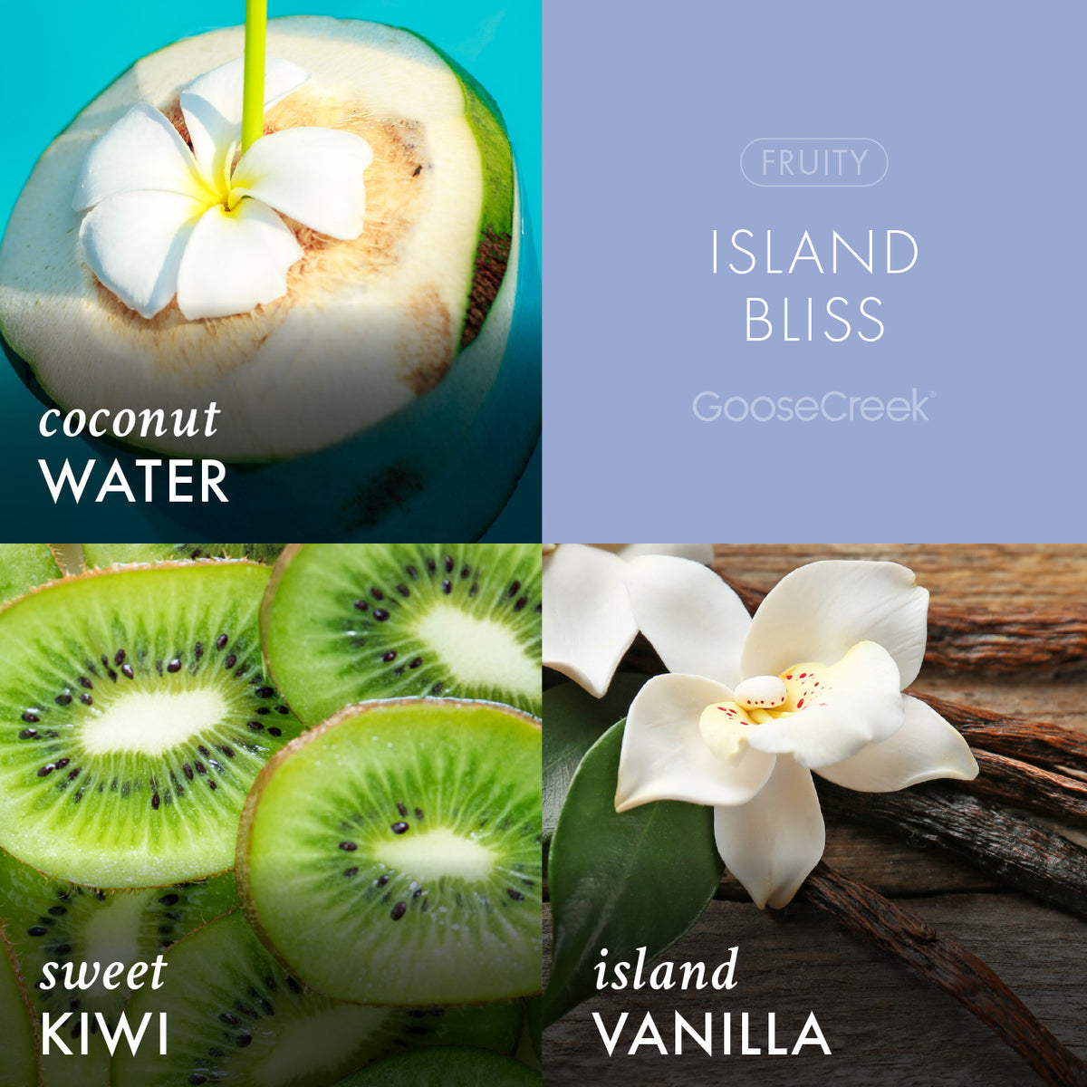 Island Bliss Wax Melt | Strong Soy Wax Melts | Goose Creek – Goose