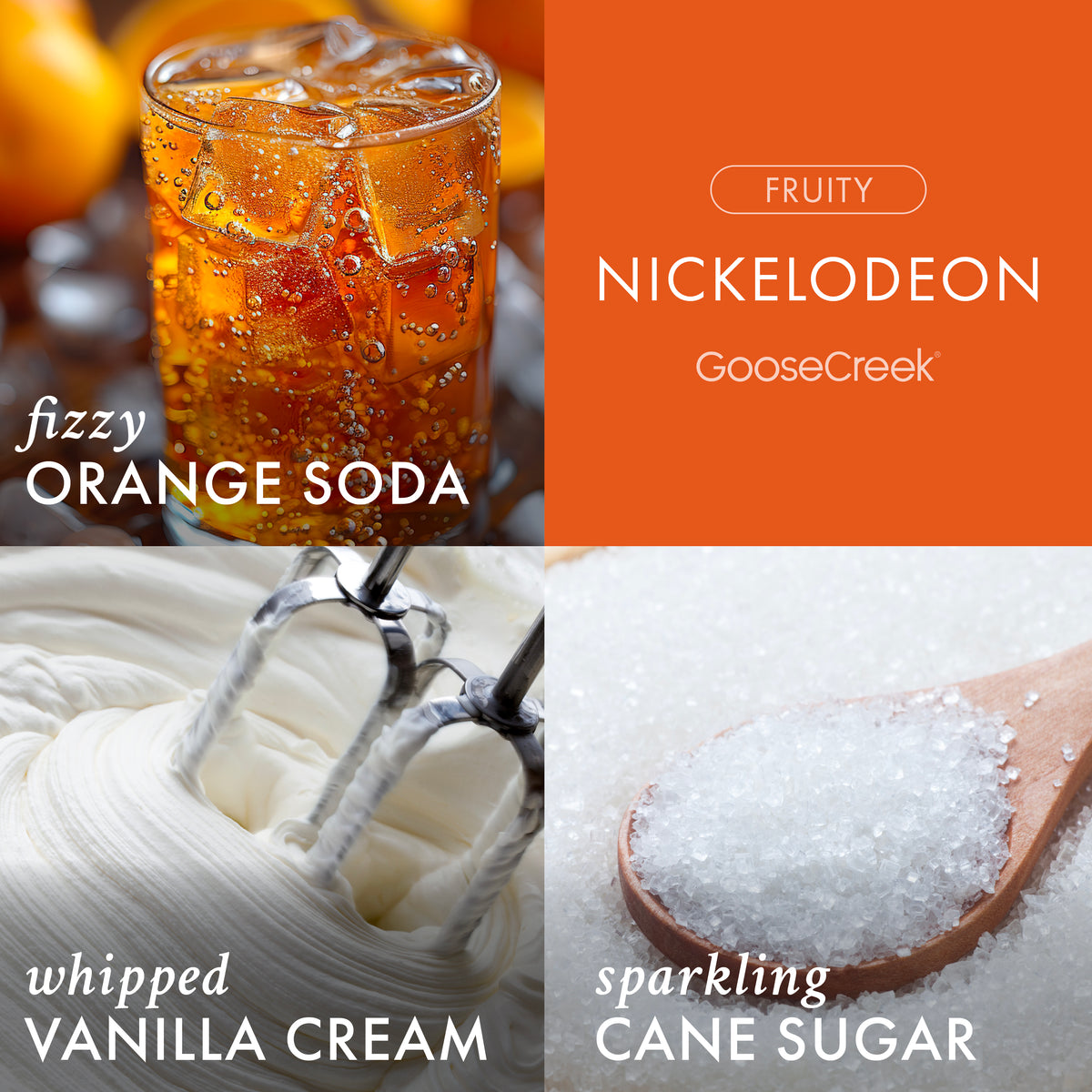 Nickelodeon 3-Wick Candle – Goose Creek Candle