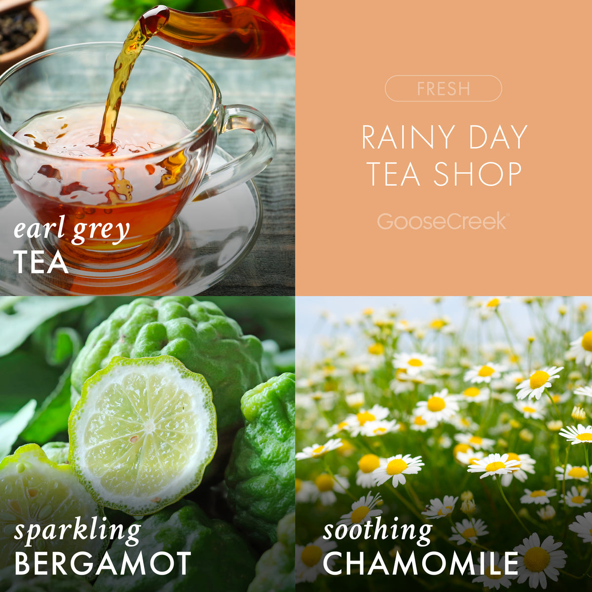 Rainy Day Tea Shop 3-Wick Candle – Goose Creek Candle