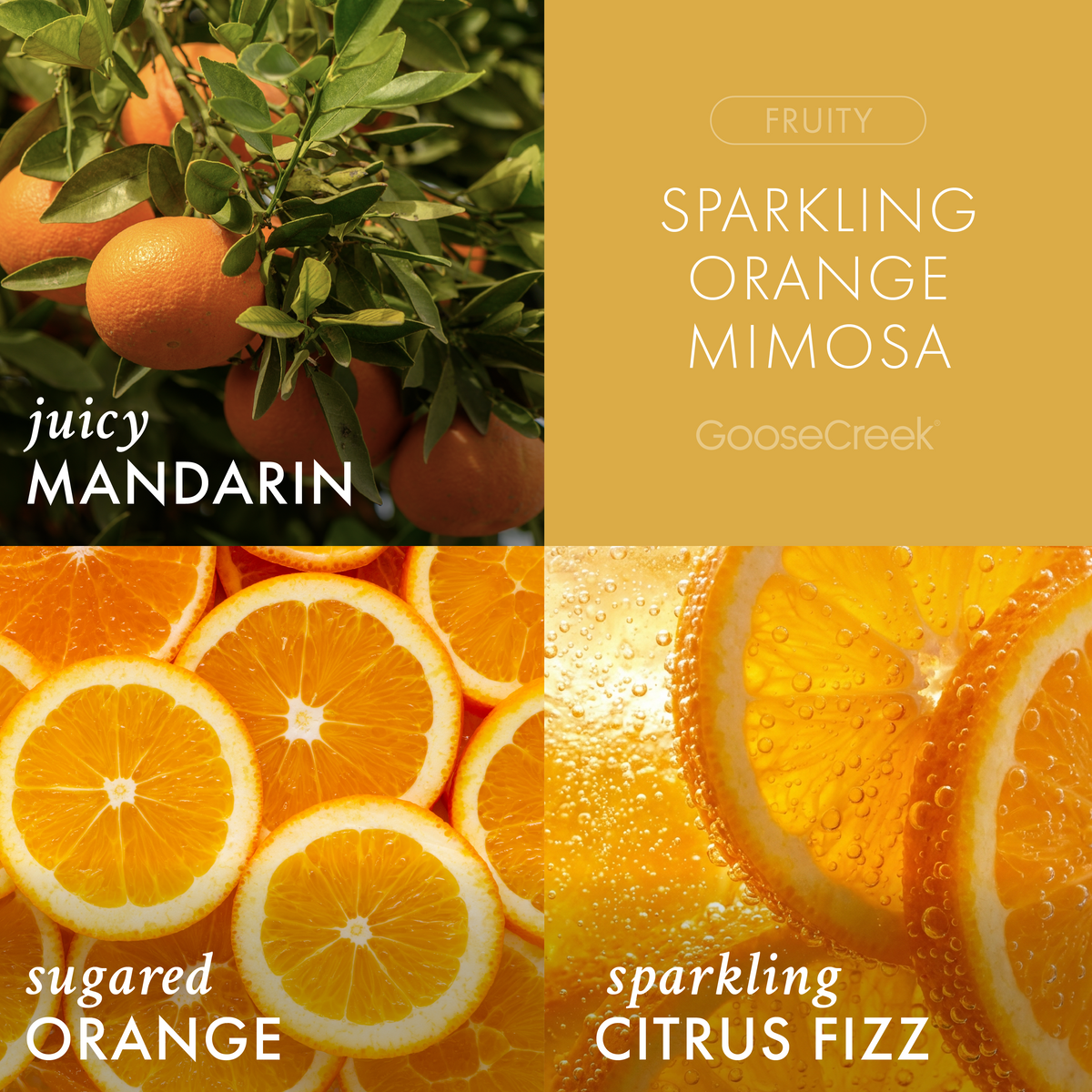Sparkling Orange Mimosa 3-Wick Candle - Luxurious Home Fragrance