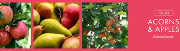 Acorns and Apples Fragrance-Goose Creek Candle