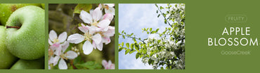 Apple Blossoms Fragrance-Goose Creek Candle