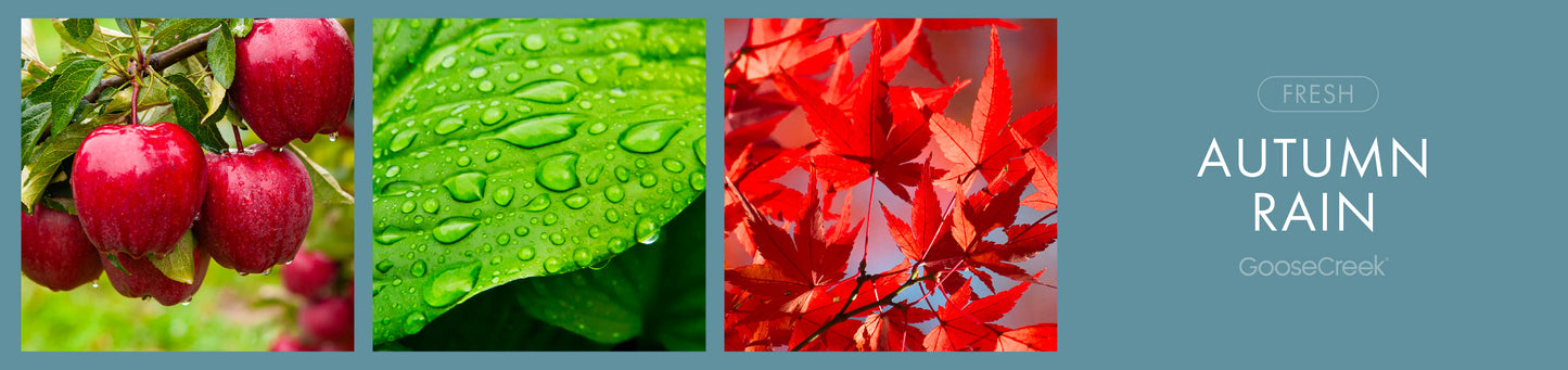 Autumn Rain Fragrance-Goose Creek Candle