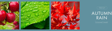 Autumn Rain Fragrance-Goose Creek Candle