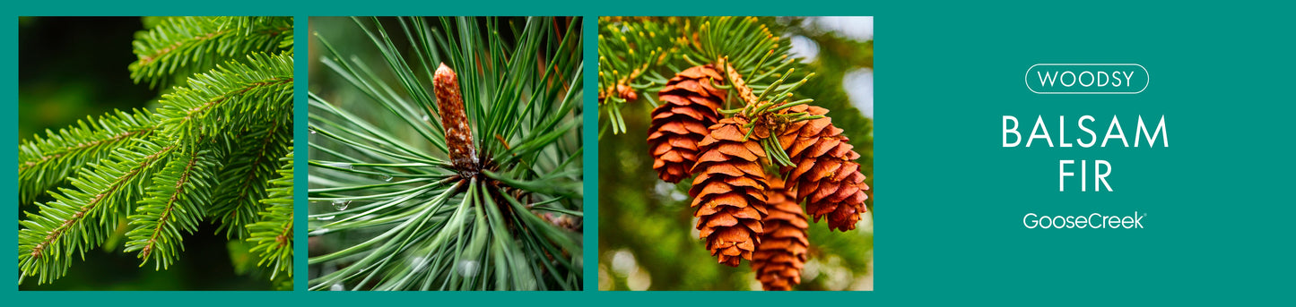 Balsam Fir Fragrance-Goose Creek Candle