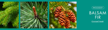 Balsam Fir Fragrance-Goose Creek Candle