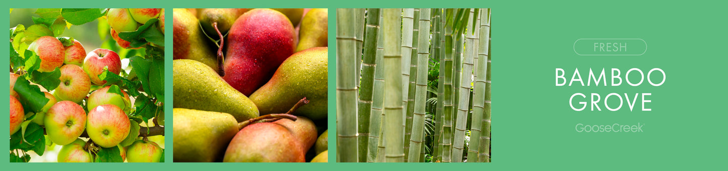 Bamboo Grove Fragrance-Goose Creek Candle
