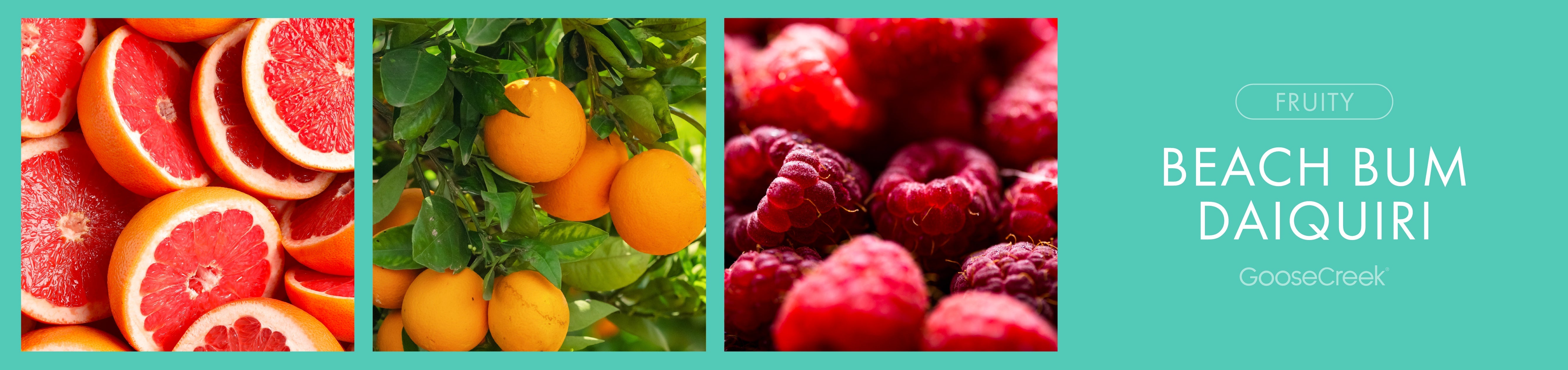 Beach Bum Daiquiri Fragrance-Goose Creek Candle