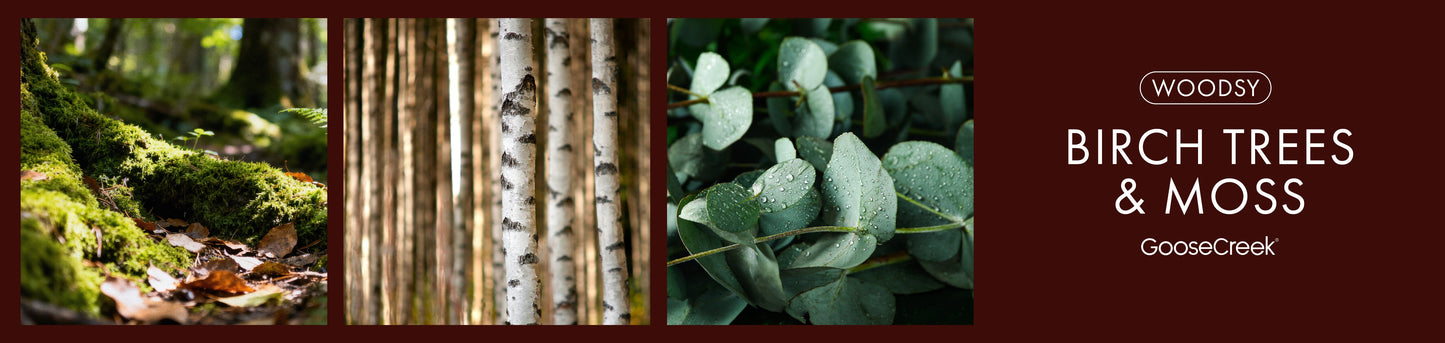 Birch Trees and Moss Fragrance-Goose Creek Candle