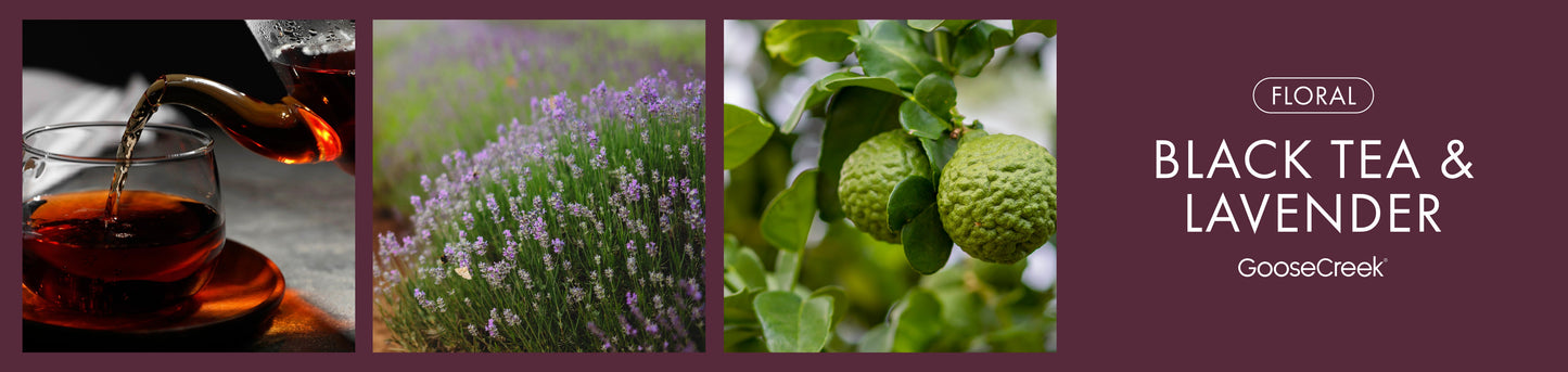 Black Tea & Lavender Fragrance-Goose Creek Candle