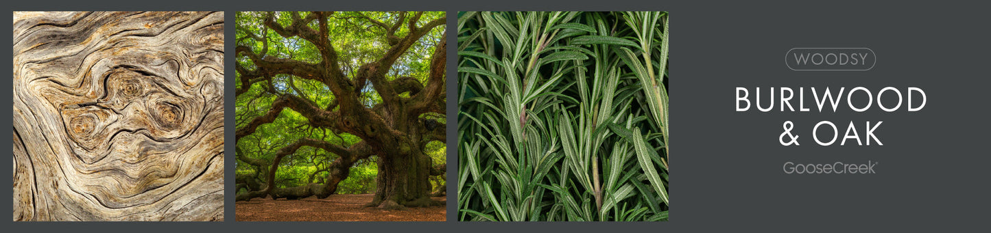 Burlwood & Oak Fragrance-Goose Creek Candle