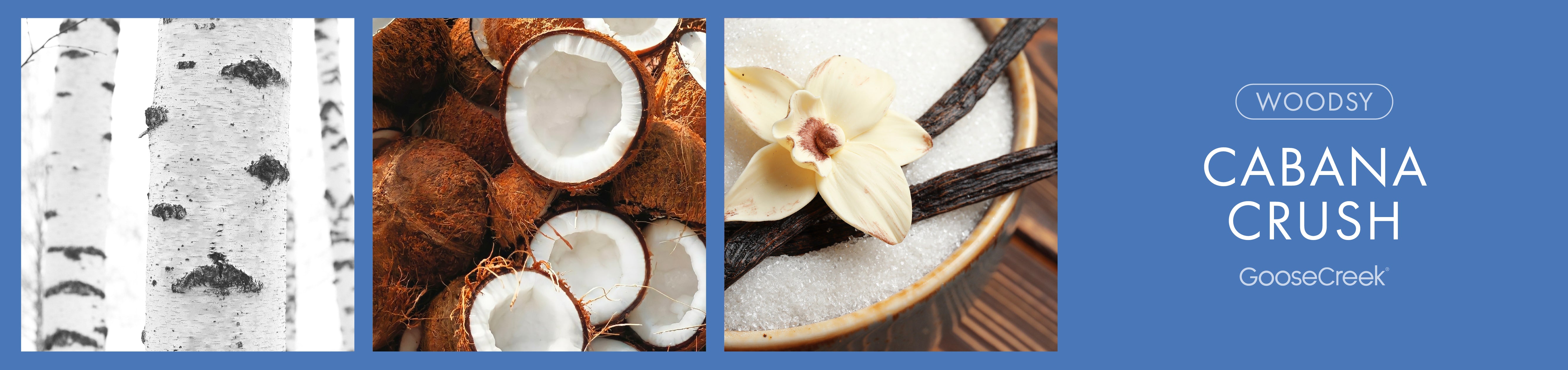 Cabana Crush Fragrance-Goose Creek Candle