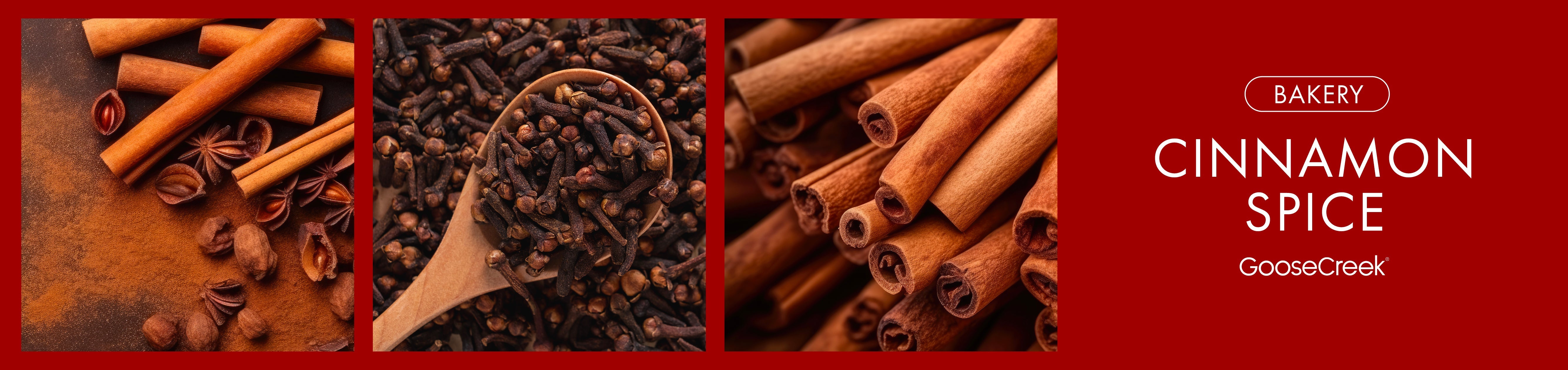 Cinnamon Spice Fragrance-Goose Creek Candle