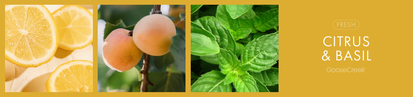 Citrus & Basil Fragrance-Goose Creek Candle