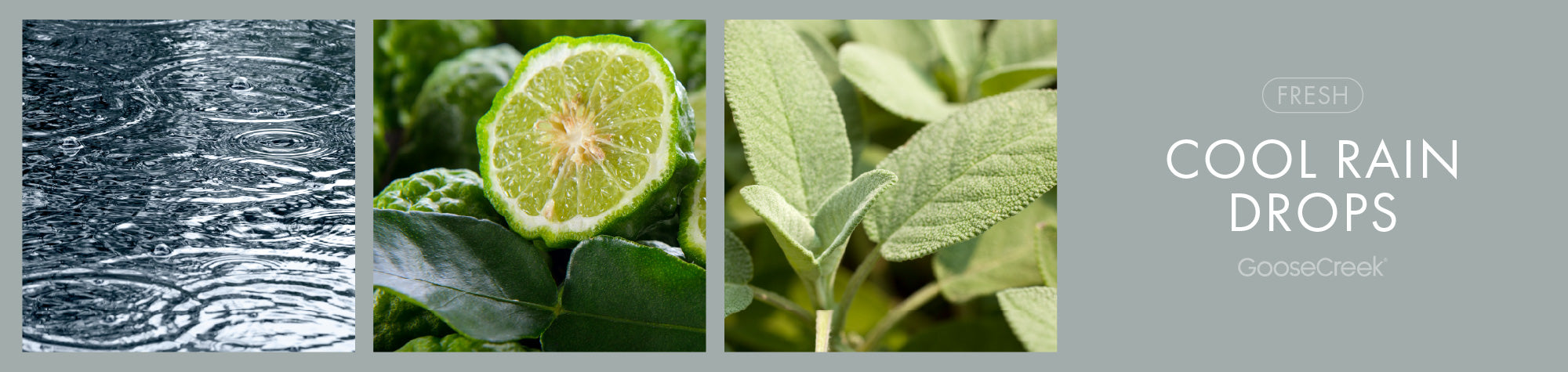 Cool Rain Drops Fragrance-Goose Creek Candle