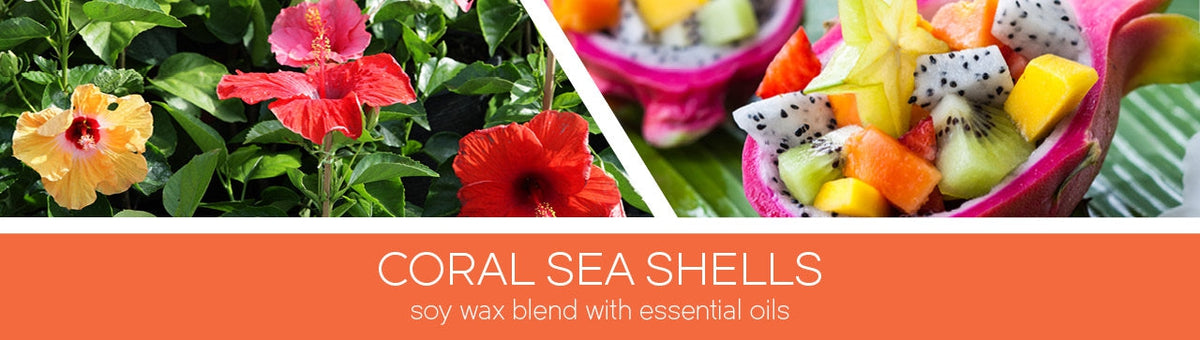 Coral Sea Shells Fragrance – Goose Creek Candle