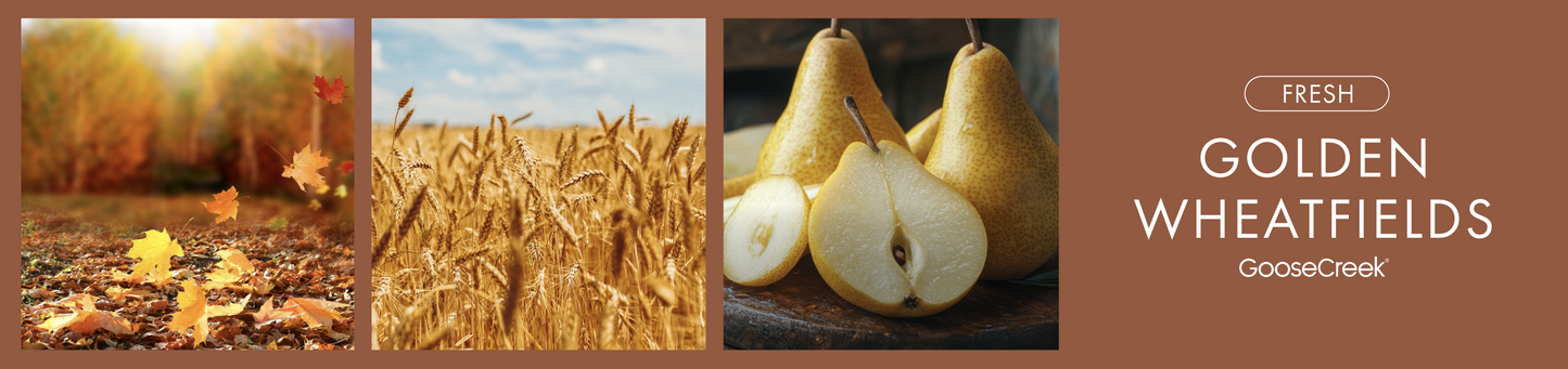 Golden Wheatfields Fragrance-Goose Creek Candle