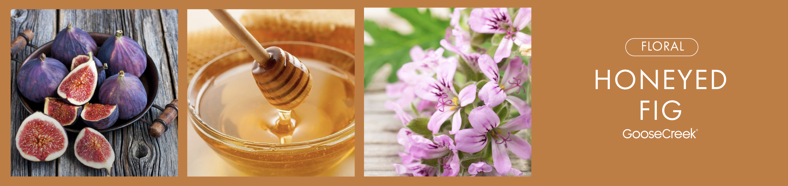 Honeyed Fig Fragrance-Goose Creek Candle