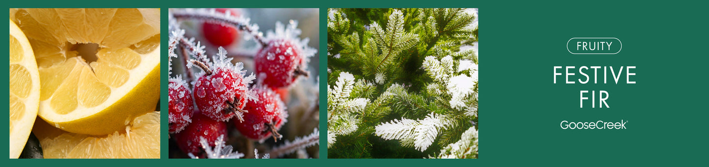Festive Fir Fragrance