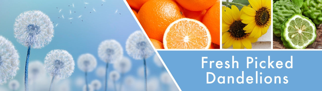 Fresh Picked Dandelions Fragrance-Goose Creek Candle