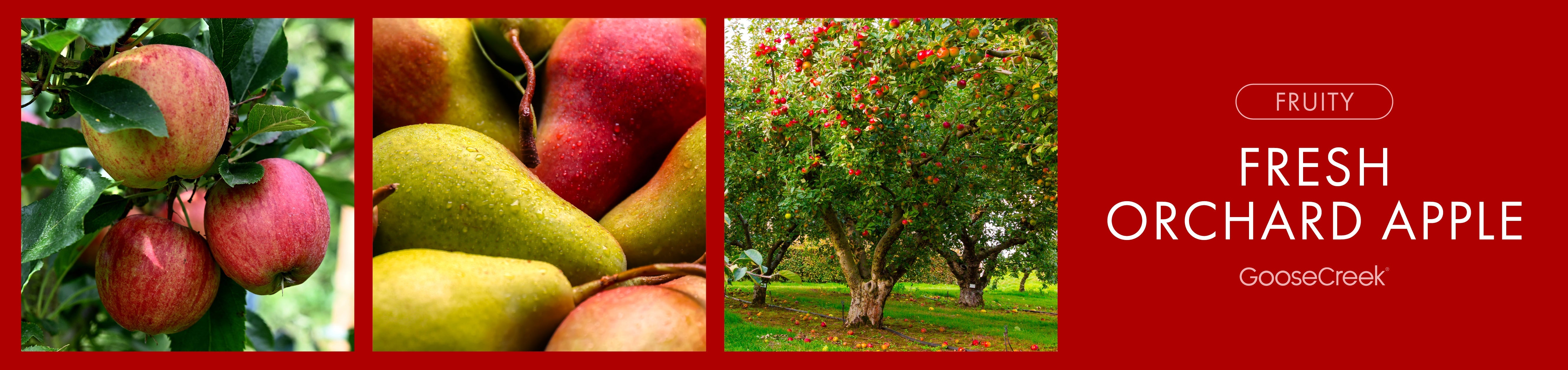 Fresh Orchard Apple Fragrance-Goose Creek Candle