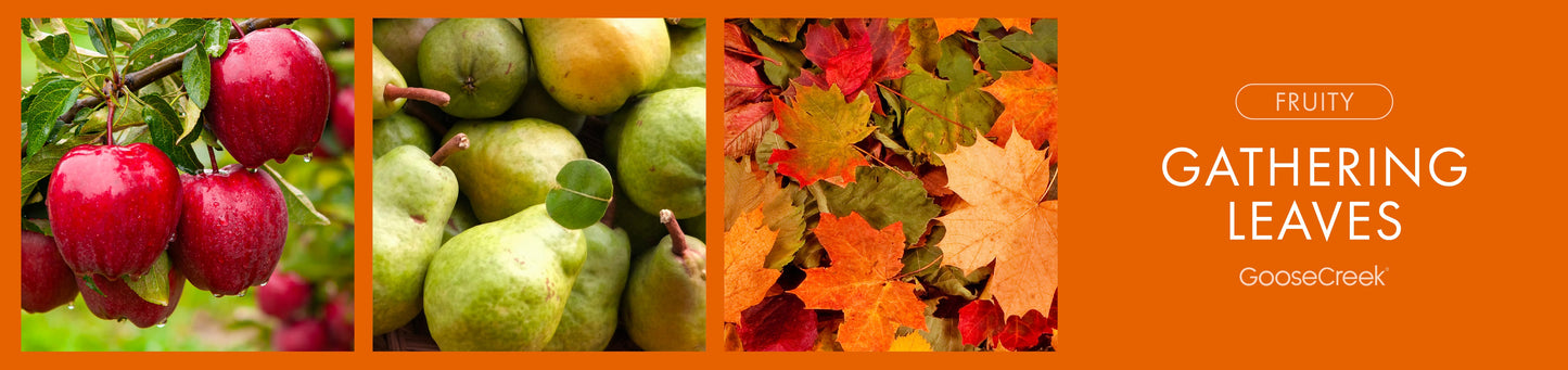 Gathering Leaves Fragrance