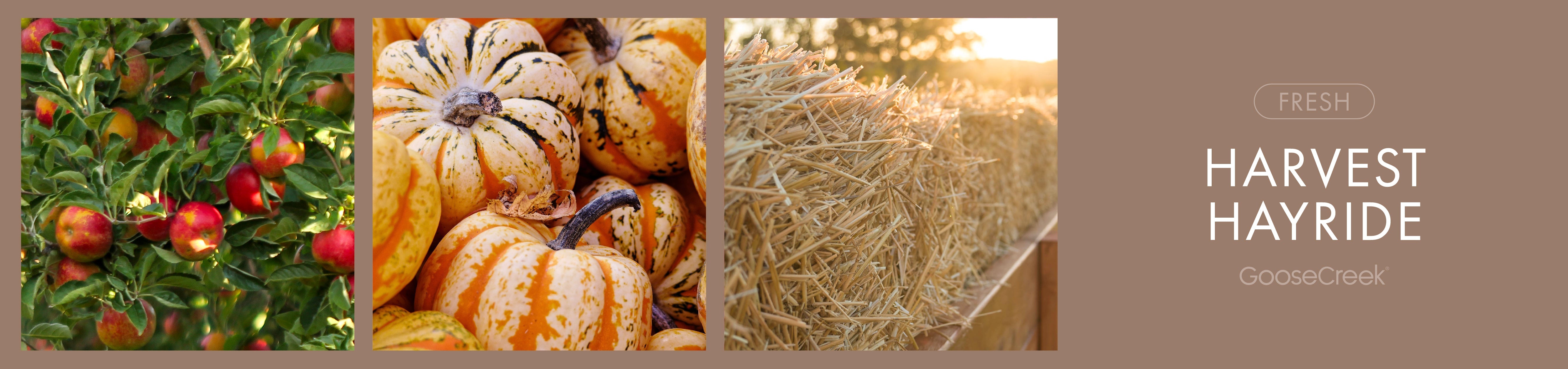 Harvest Hayride Fragrance-Goose Creek Candle