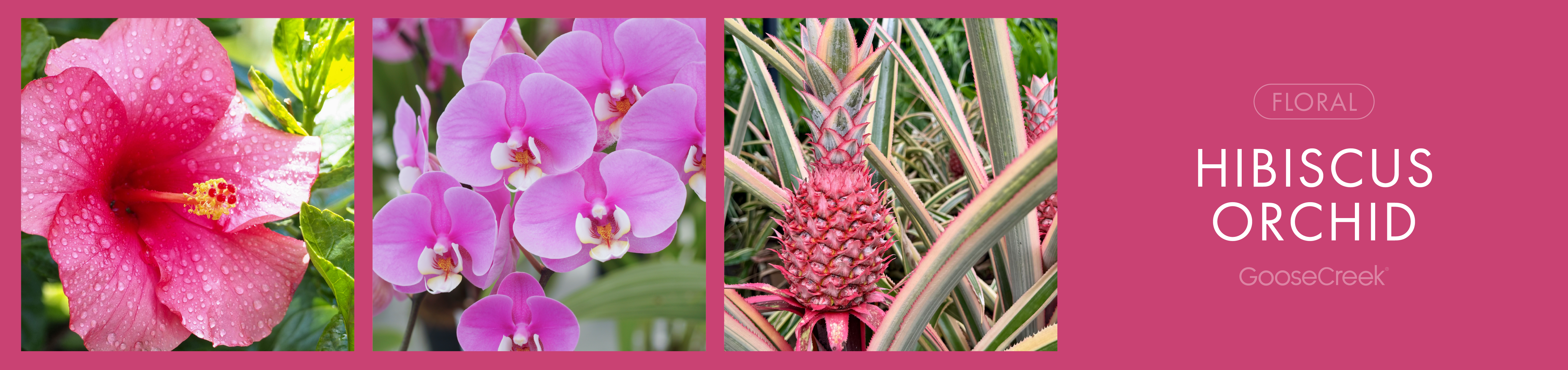 Hibiscus Orchid Fragrance-Goose Creek Candle