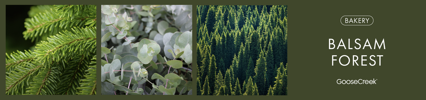 Balsam Forest Fragrance