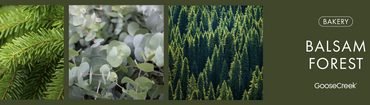 Balsam Forest Fragrance-Goose Creek Candle