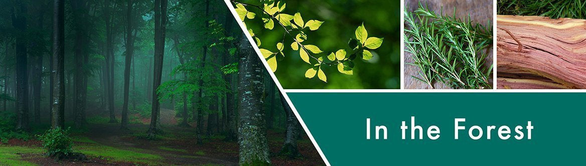 In The Forest Fragrance-Goose Creek Candle