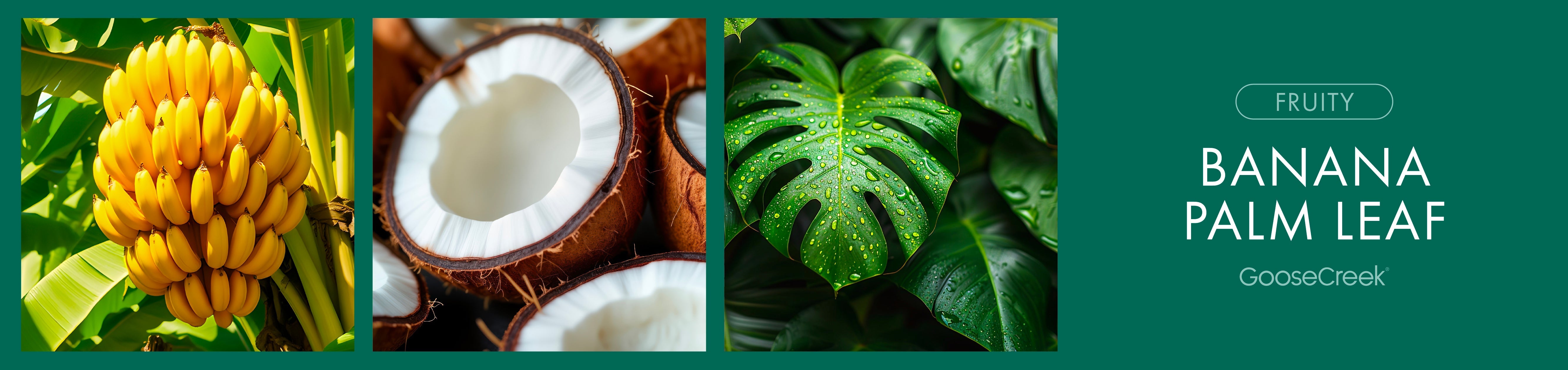 Banana Palm Leaf Fragrance-Goose Creek Candle