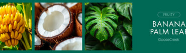 Banana Palm Leaf Fragrance-Goose Creek Candle