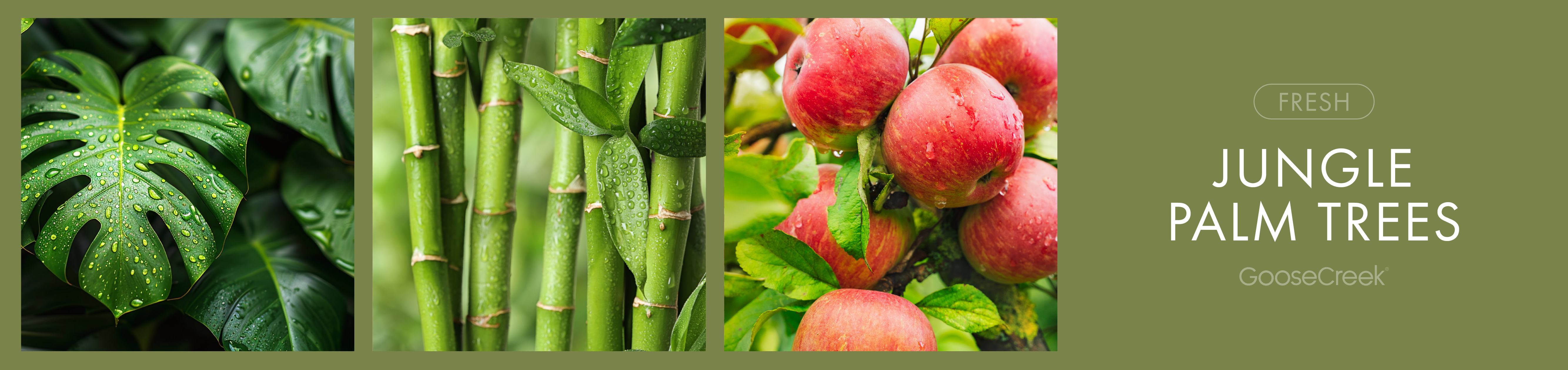 Jungle Palm Trees Fragrance-Goose Creek Candle