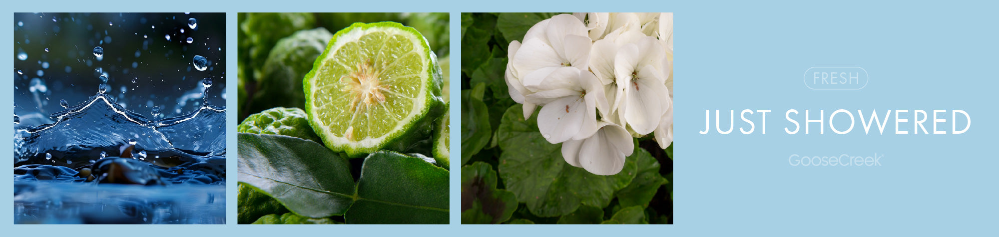 Just Showered Fragrance-Goose Creek Candle