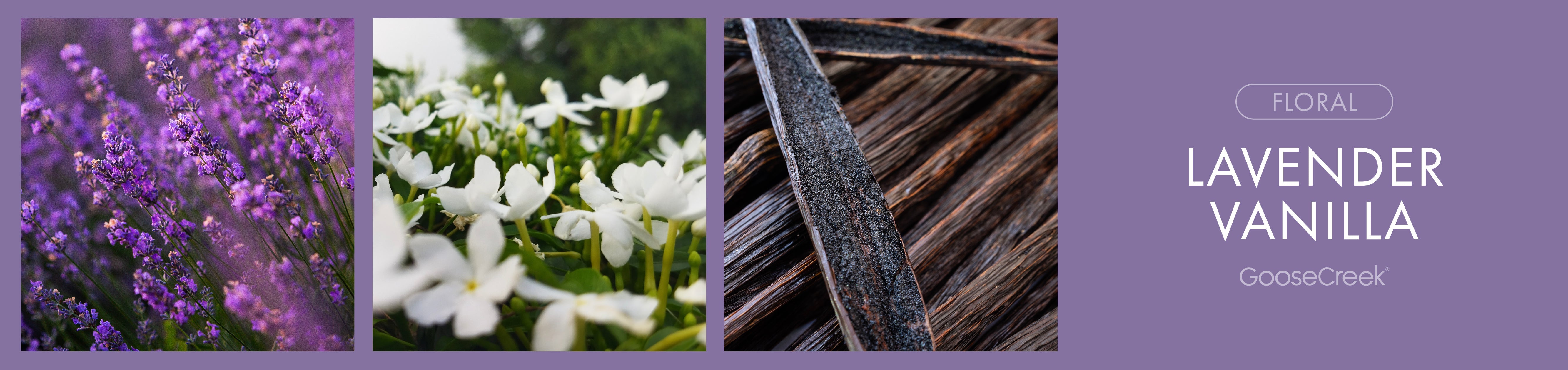 Lavender Vanilla OE Fragrance-Goose Creek Candle