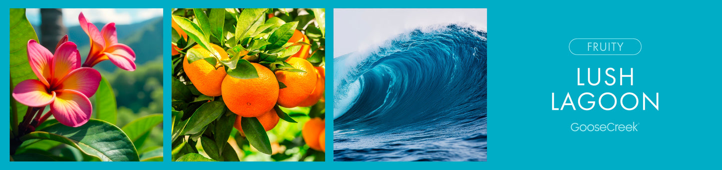 Lush Lagoon Fragrance-Goose Creek Candle