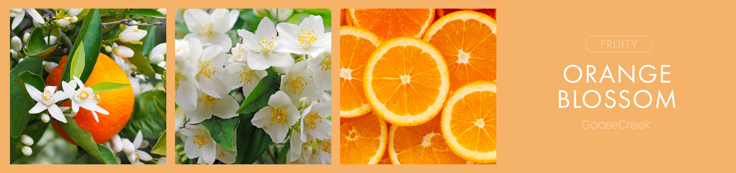 Orange Blossom Fragrance-Goose Creek Candle