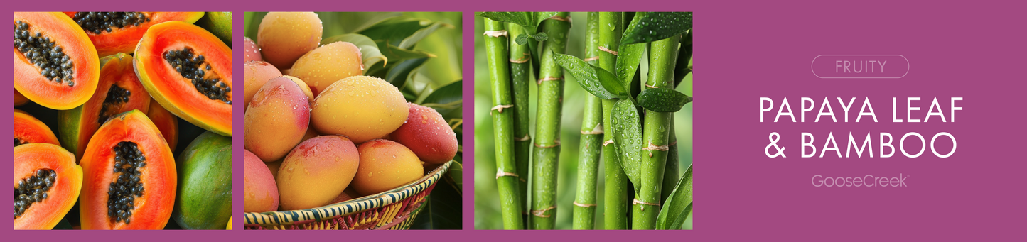 Papaya Leaf & Bamboo Fragrance-Goose Creek Candle