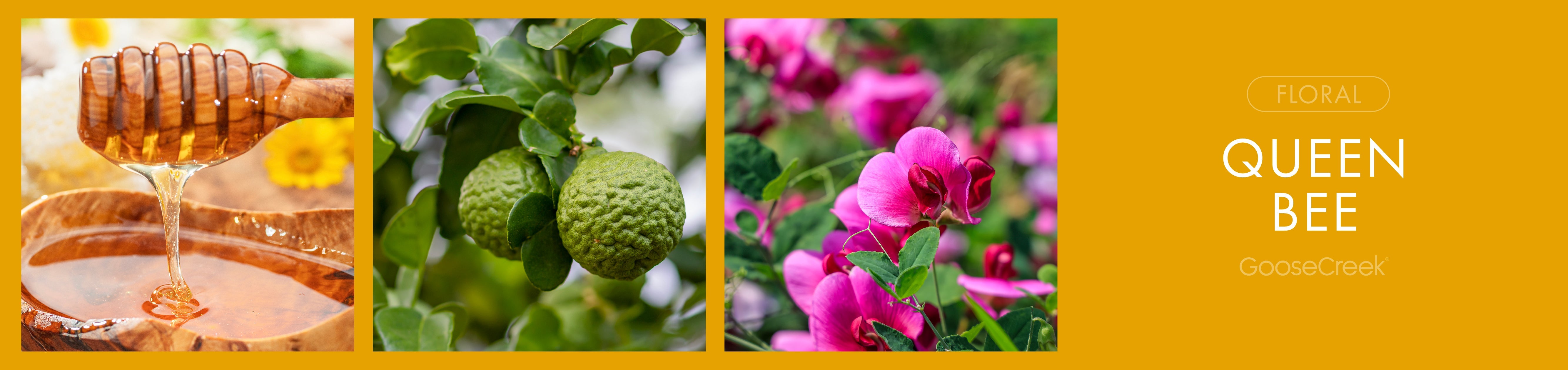 Queen Bee Fragrance-Goose Creek Candle