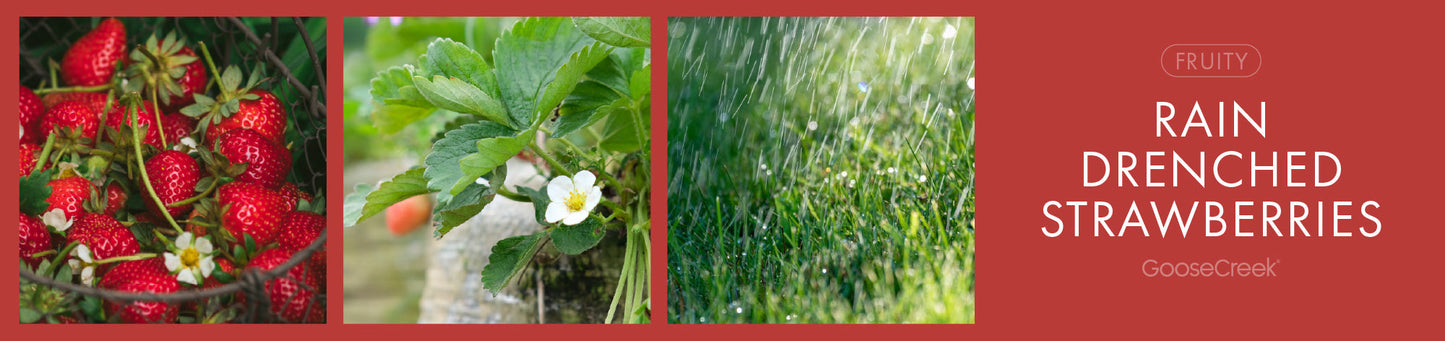 Rain Drenched Strawberries Fragrance-Goose Creek Candle