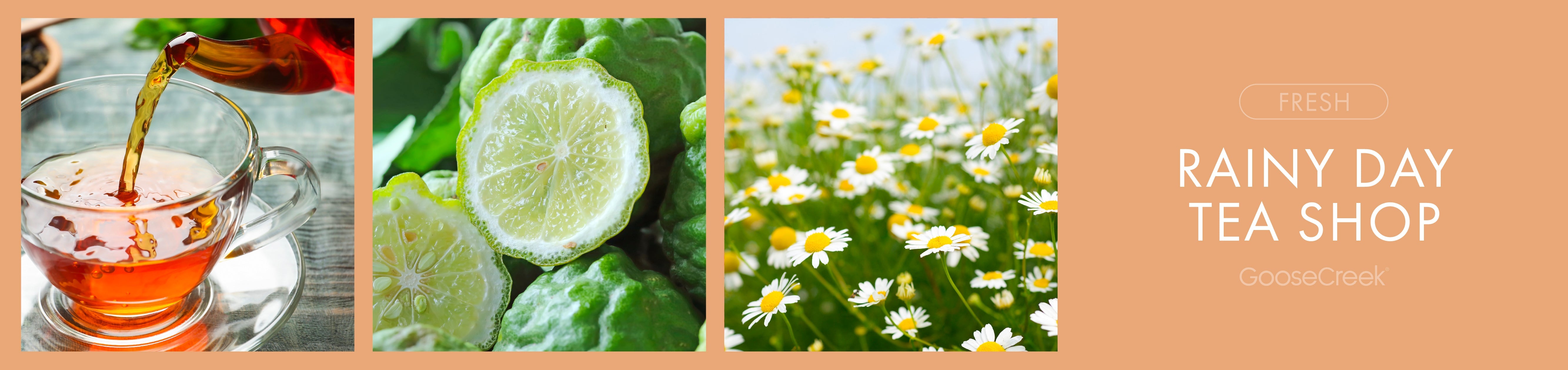 Rainy Day Tea Shop Fragrance-Goose Creek Candle