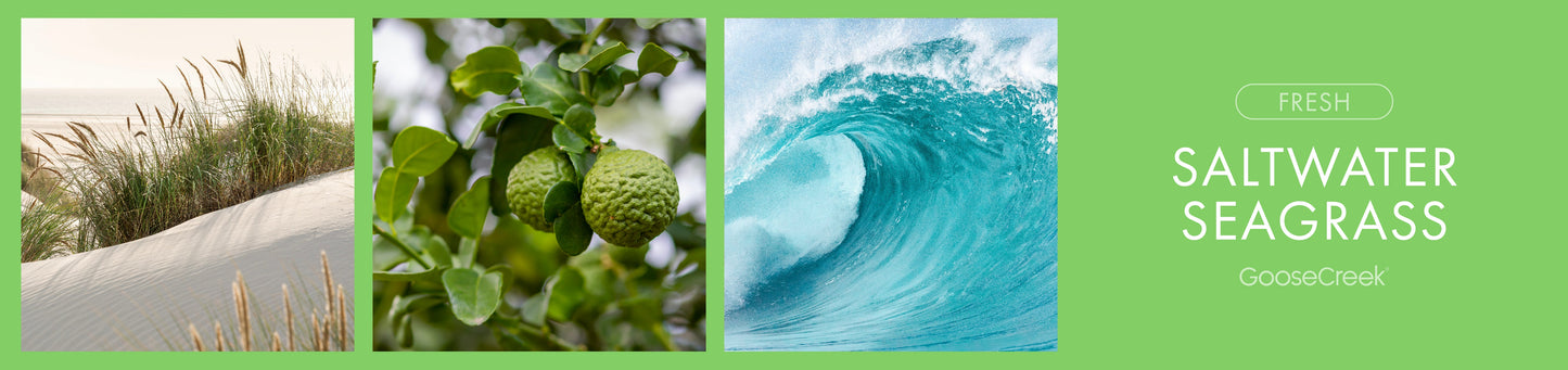 Saltwater Seagrass Fragrance-Goose Creek Candle
