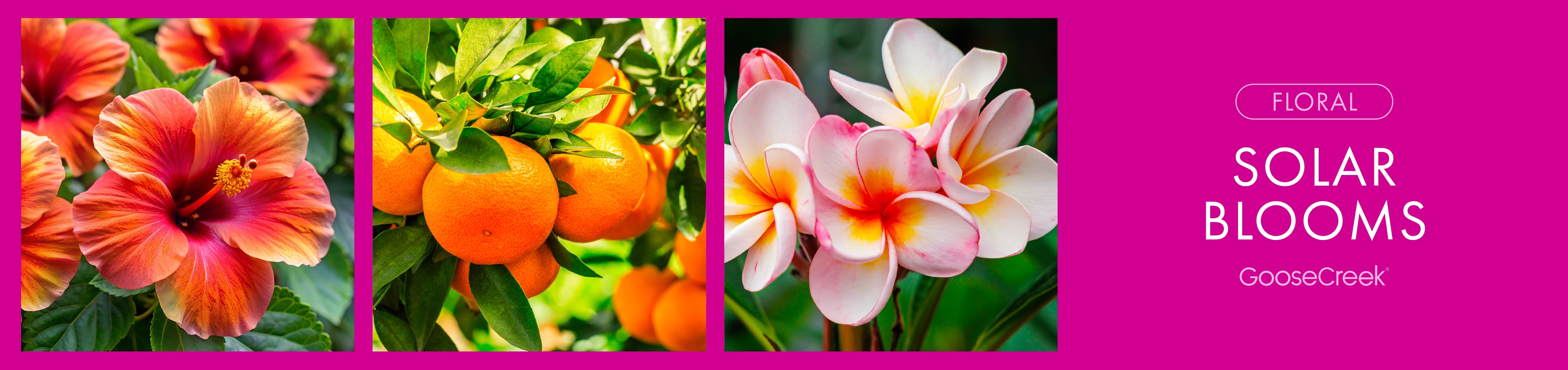 Solar Blooms Fragrance-Goose Creek Candle