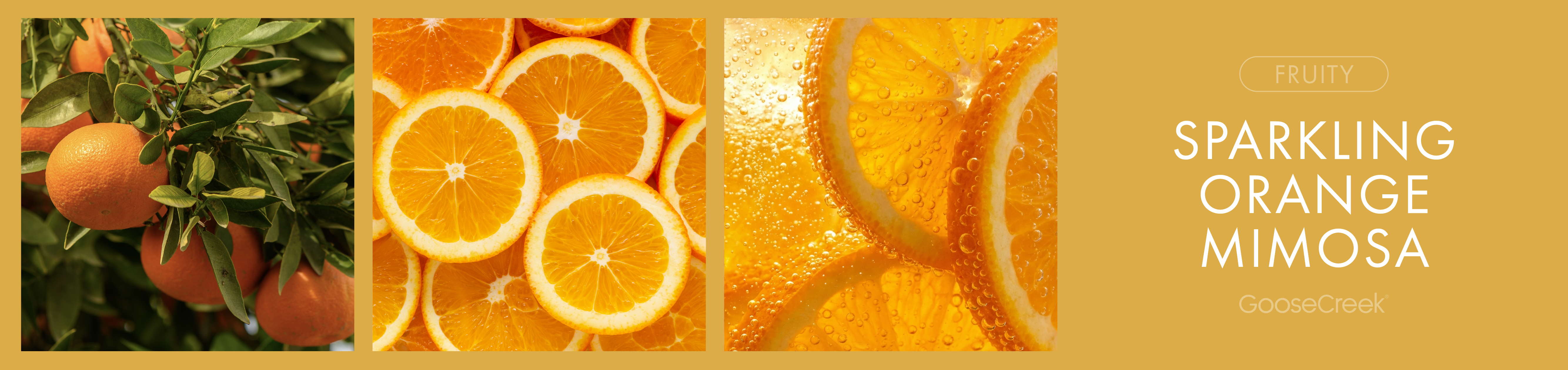 Sparkling Orange Mimosa Fragrance-Goose Creek Candle